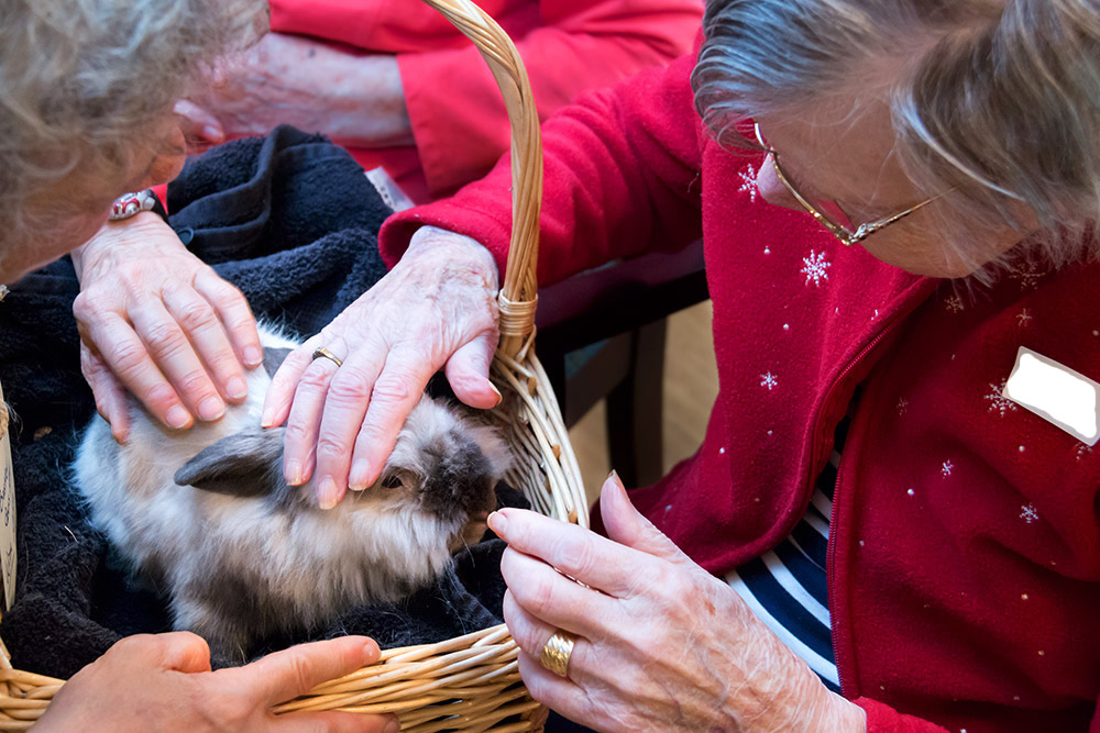 Volunteer your animal to participate in Nature Connection programs